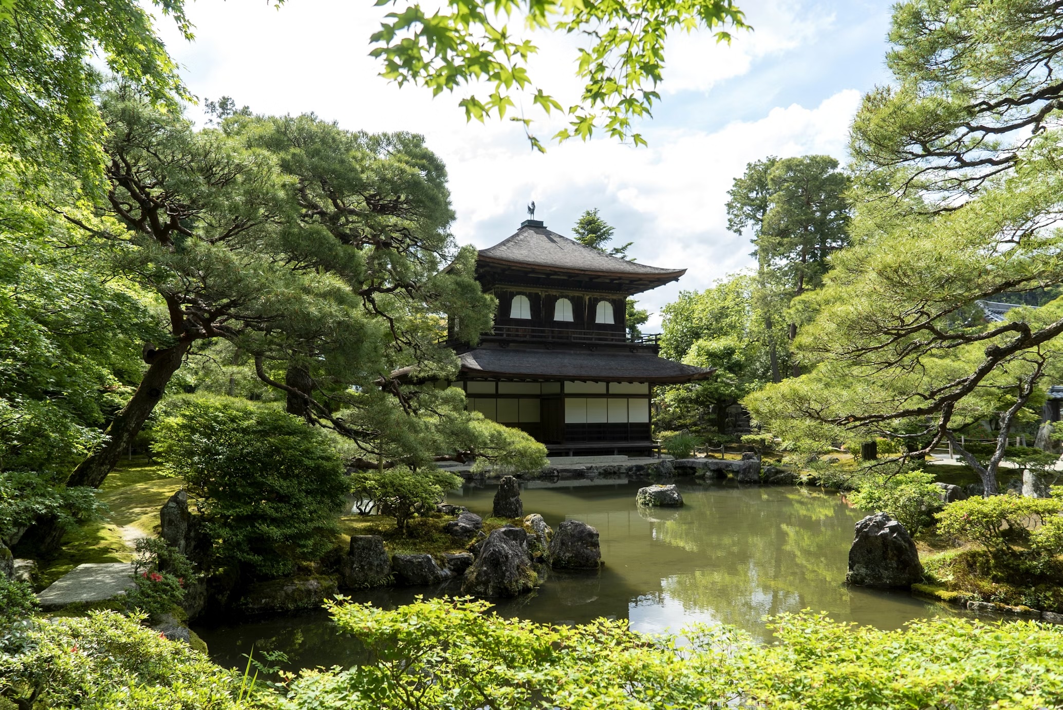 japanese garden